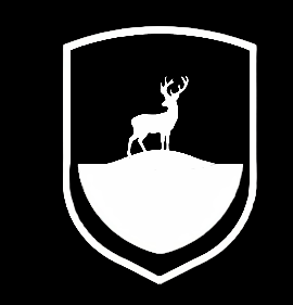 Hirschberg.Group Logo